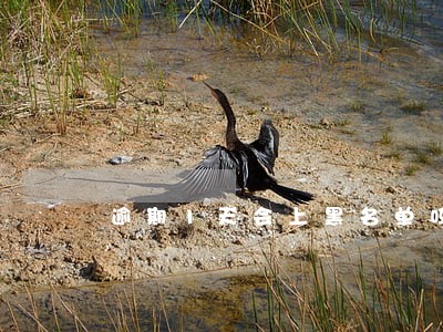 逾期1天会上黑名单吗 逾期1天会上黑名单吗