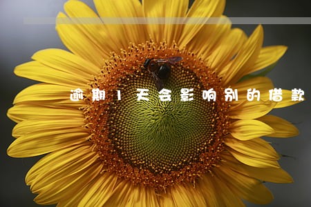逾期1天会影响别的借款吗 逾期1天会影响别的借款吗