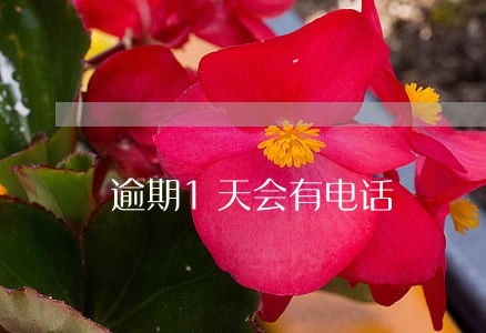 逾期1天会有电话 逾期1天会有电话