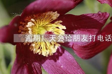 逾期1天会给朋友打电话吗 逾期1天会给朋友打电话吗