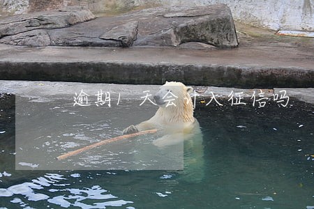 逾期1天会计入征信吗 逾期1天会计入征信吗