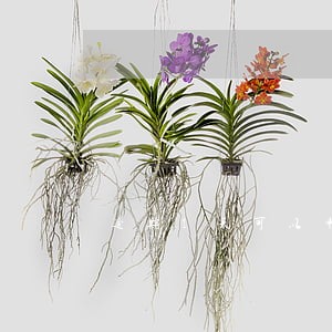逾期1天可以申请消除吗 逾期1天可以申请消除吗