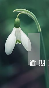 逾期1天和逾期91天的后果 逾期1天和逾期91天的后果