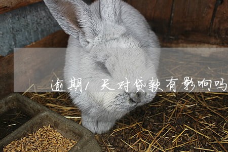 逾期1天对贷款有影响吗 逾期1天对贷款有影响吗