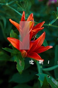 逾期1天就打电话 逾期1天就打电话