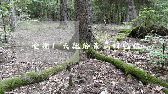 逾期1天就给亲属打电话 逾期1天就给亲属打电话