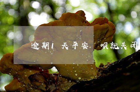 逾期1天平安賖呗就关闭 逾期1天平安賖呗就关闭