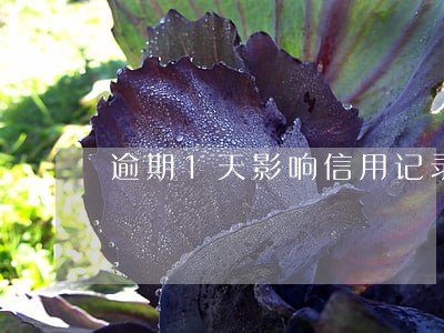 逾期1天影响信用记录吗 逾期1天影响信用记录吗