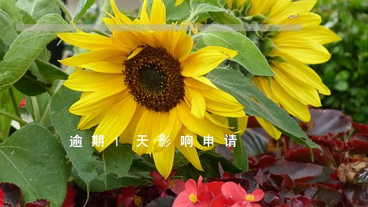 逾期1天影响申请 逾期1天影响申请