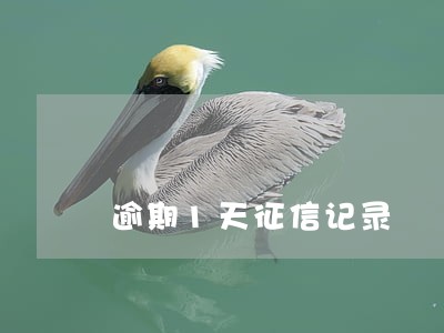 逾期1天征信记录 逾期1天征信记录