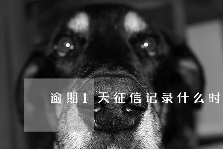 逾期1天征信记录什么时候恢复 逾期1天征信记录什么时候恢复
