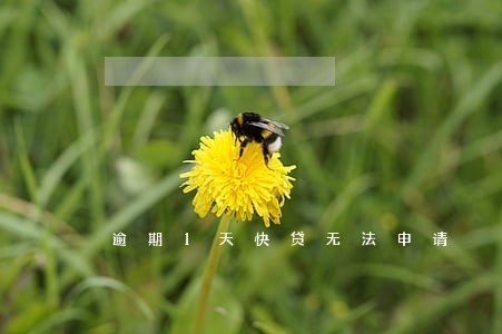 逾期1天快贷无法申请 逾期1天快贷无法申请