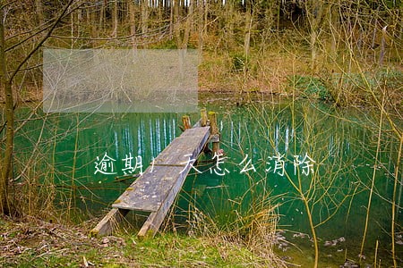 逾期1天怎么消除 逾期1天怎么消除