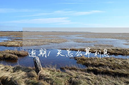 逾期1天怎么算利息 逾期1天怎么算利息