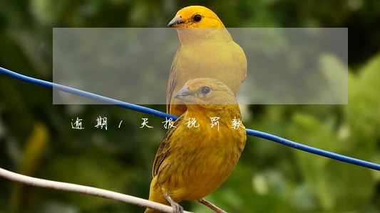 逾期1天报税罚款 逾期1天报税罚款