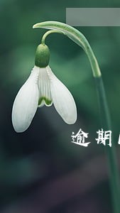 逾期1天申报个税 逾期1天申报个税