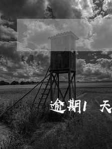 逾期1天申报增值税 逾期1天申报增值税