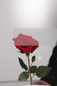 逾期1天的可以催收吗 逾期1天的可以催收吗