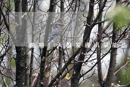 逾期1天群发通讯录能告他们吗 逾期1天群发通讯录能告他们吗