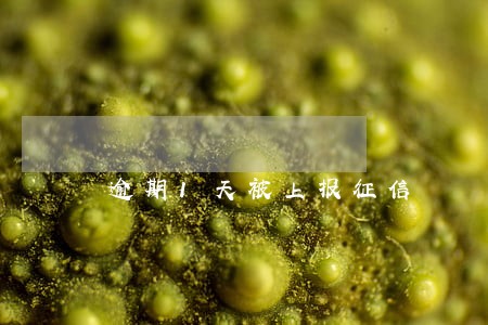 逾期1天被上报征信 逾期1天被上报征信