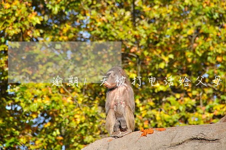 逾期1天被打电话给父母 逾期1天被打电话给父母