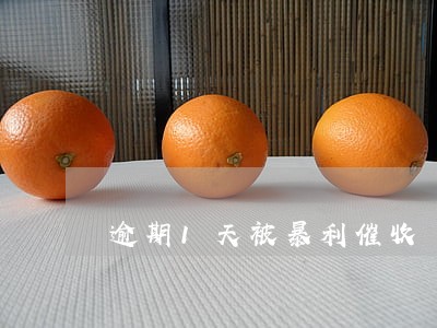 逾期1天被暴利催收 逾期1天被暴利催收