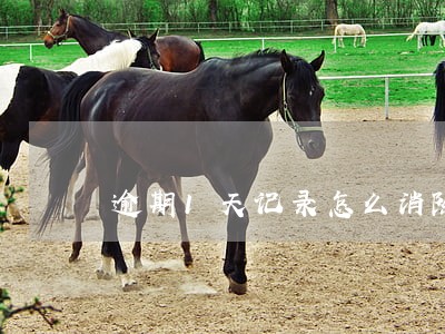 逾期1天记录怎么消除 逾期1天记录怎么消除