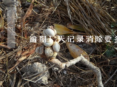 逾期1天记录消除要多久 逾期1天记录消除要多久