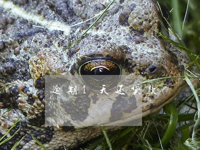 逾期1天还贷款 逾期1天还贷款
