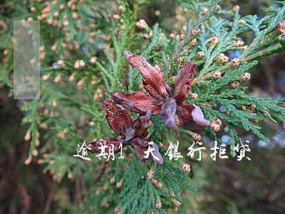 逾期1天银行拒贷
