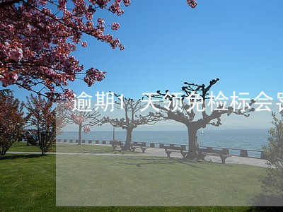 逾期1天领免检标会罚款吗 逾期1天领免检标会罚款吗