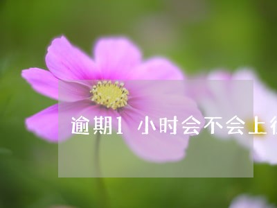 逾期1小时会不会上征信 逾期1小时会不会上征信