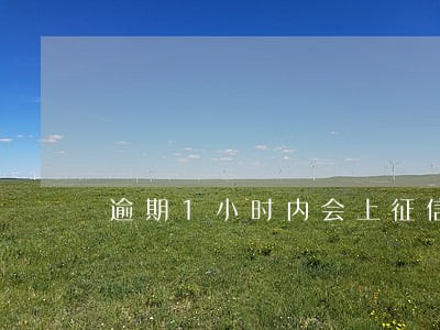 逾期1小时内会上征信吗 逾期1小时内会上征信吗