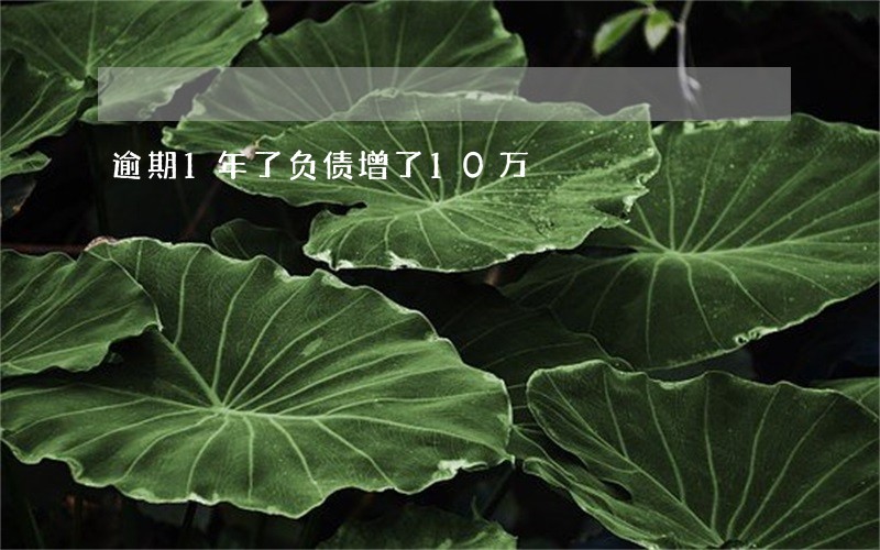 逾期1年了负债增了10万 逾期1年了负债增了10万