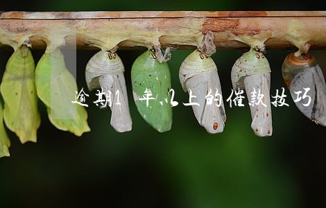 逾期1年以上的催款技巧 逾期1年以上的催款技巧