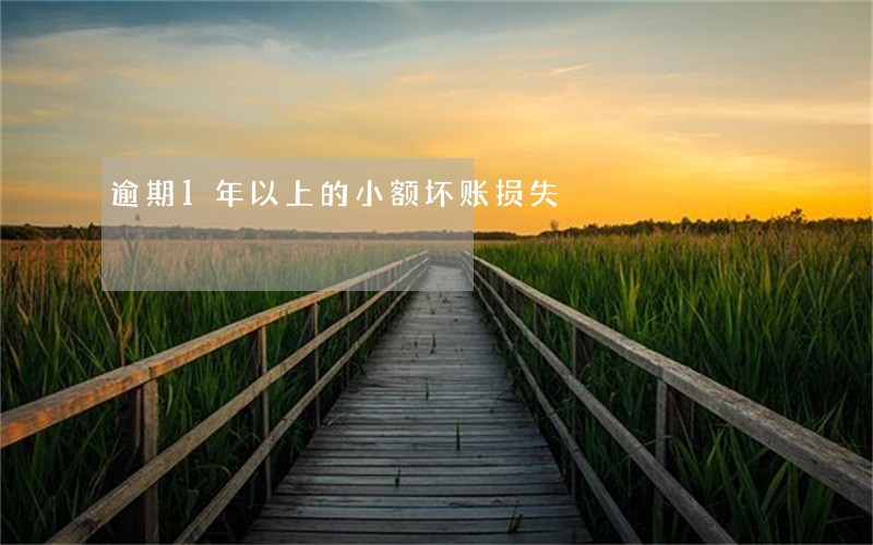逾期1年以上的小额坏账损失 逾期1年以上的小额坏账损失