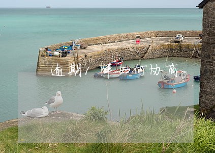 逾期1年如何协商 逾期1年如何协商