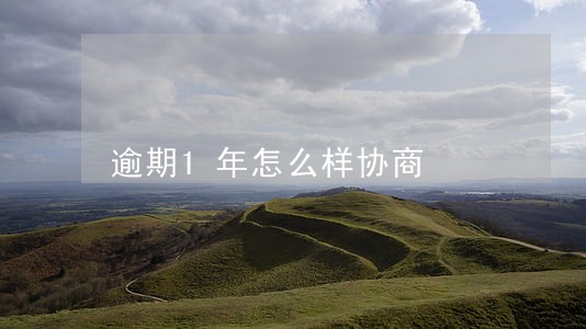 逾期1年怎么样协商 逾期1年怎么样协商