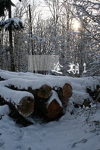 逾期1年才能诉讼