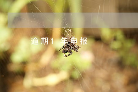 逾期1年申报 逾期1年申报