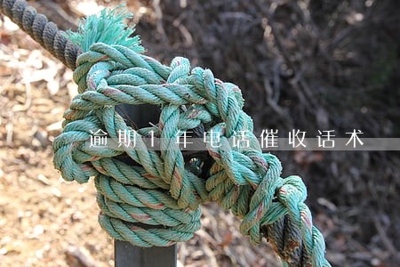 逾期1年电话催收话术 逾期1年电话催收话术