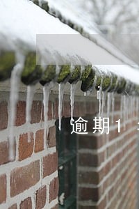 逾期1年的客户 逾期1年的客户
