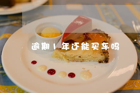 逾期1年还能买车吗 逾期1年还能买车吗
