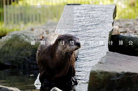 逾期1日贷款利息计算公式 逾期1日贷款利息计算公式