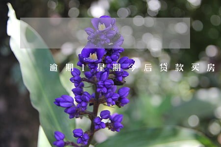 逾期1星期今后贷款买房子 逾期1星期今后贷款买房子