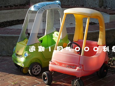 逾期1月5000利息太高了吧