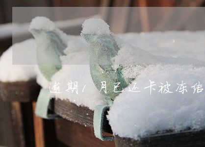 逾期1月已还卡被冻结