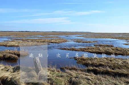 逾期1次买房能贷款吗