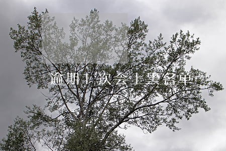 逾期1次会上黑名单 逾期1次会上黑名单