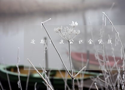 逾期1次公积金贷款 逾期1次公积金贷款